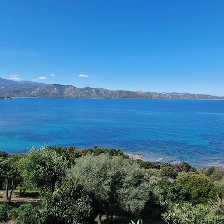 Appartement Sur La Baie De Saint Florent Patrimonio Exterior foto