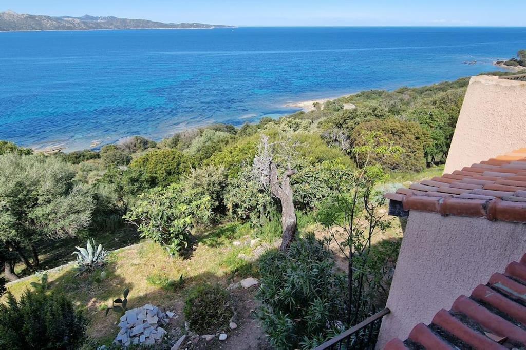 Appartement Sur La Baie De Saint Florent Patrimonio Exterior foto